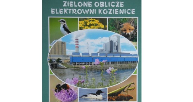 Zielone oblicze Elektrowni Kozienice