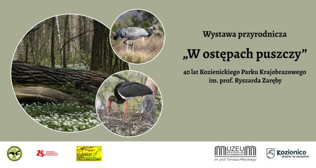 W ostępach puszczy – 40 lat Kozienickiego Parku Krajobrazowego | Relacja